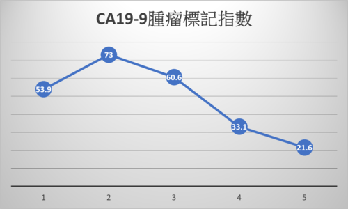 案例七： <br>胰臟癌三期-複方化療副作用明顯<br>  |癌症專欄|案例分享|癌症案例分享