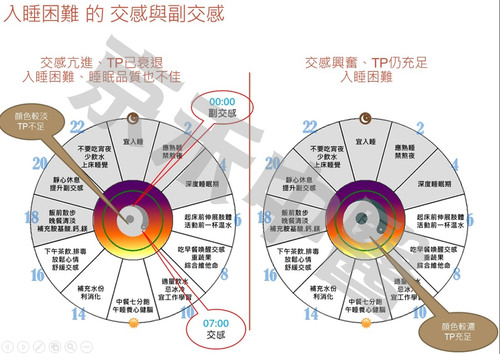 自律神經產品圖