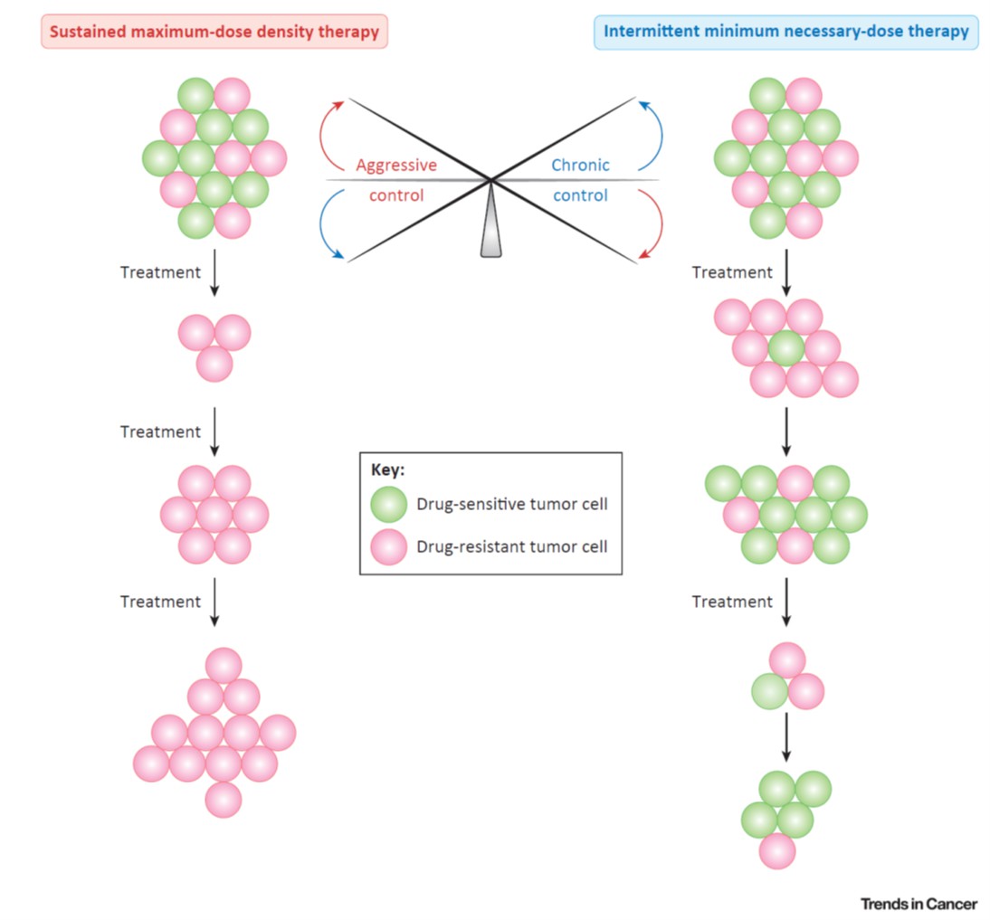 Reference: "Polytherapy and Targeted Cancer Drug Resistance." Trends Cancer. 2019 Mar;5(3):170 182 Reference: "Polytherapy and Targeted Cancer Drug Resistance." Trends Cancer. 2019 Mar;5(3):170 182